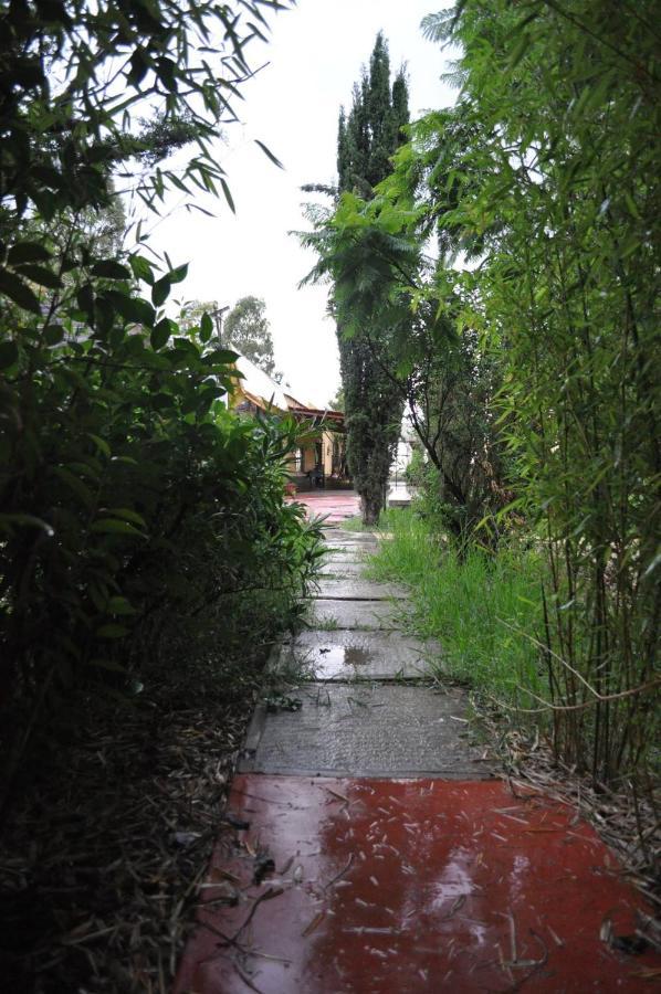 Posada Morelos Сакатекас Экстерьер фото
